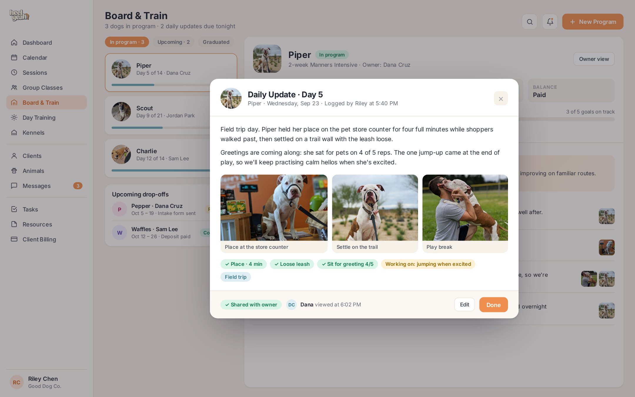 A board and train daily update with notes, photos and progress tags, shared with and viewed by the owner