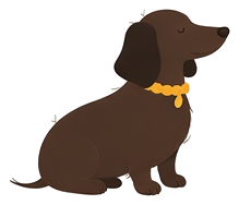 Illustration of a dachshund sitting in a gold collar